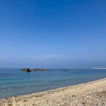 Amorosita Couette-café