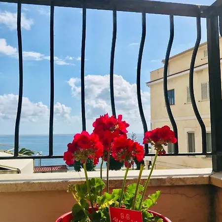 Amorosita Couette-café